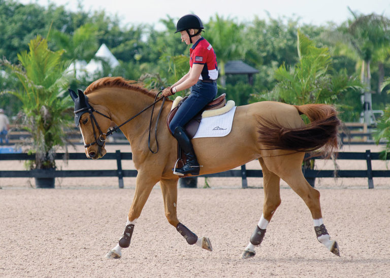 Celebrity Jumping Clinic with George Morris promo image