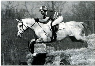 Classic Jumping Clinic: A Useful Comparison promo image