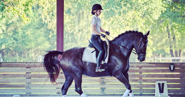 Clinic with Susanne FB