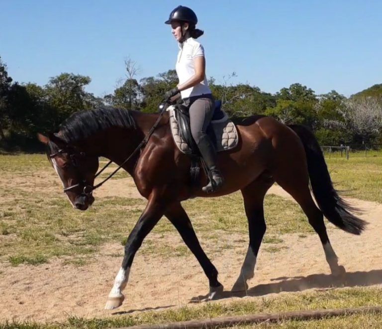 Clinic with Susanne von Dietze elisa muller alpha armani