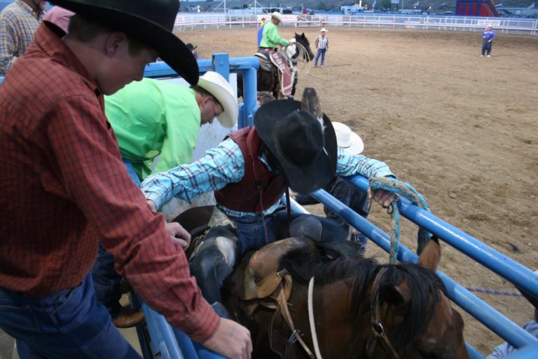 Cody Rodeo promo image