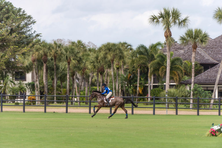Collen Rutledge Galloping