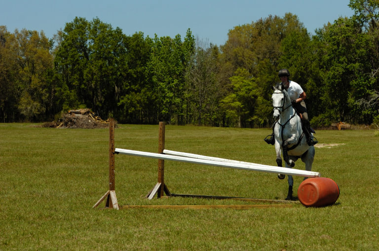 Conquer Corner Fences on Cross Country with Amy Tryon promo image
