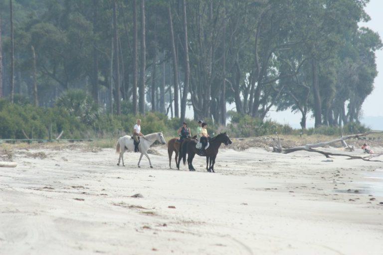 Daufuskie Island, SC promo image