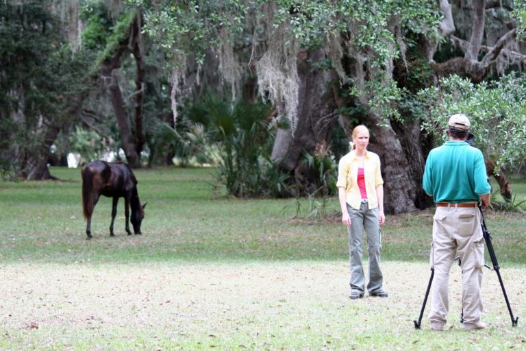 Day Two on Cumberland Island promo image