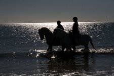 Donana National Park, Spain promo image