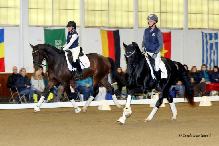 Dorothee Schneider 1 774A9285