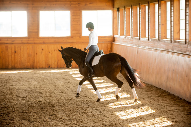 Dressage Circle