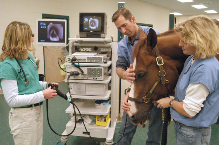 DSC_0182 endoscopy (C) D Perin