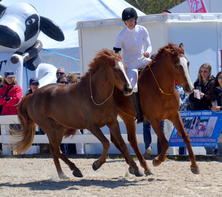 Elisa Wallace: A Mustang Advocate Takes On Rolex promo image