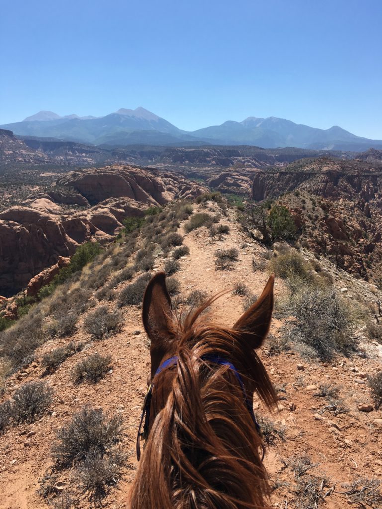 Endurance Riding Moab Utah