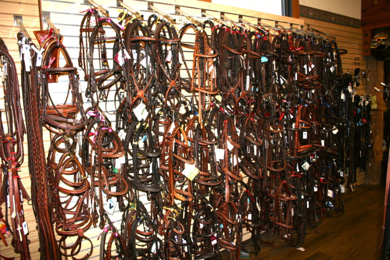 English Bridles 101 promo image
