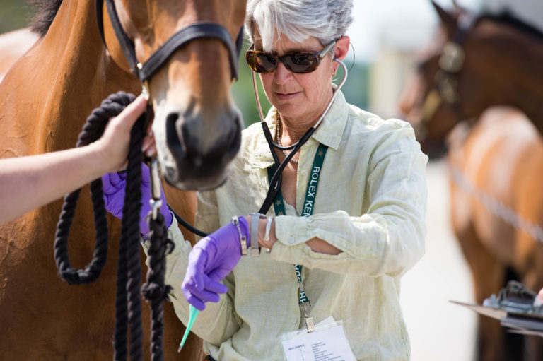 Equine Vet Respiration