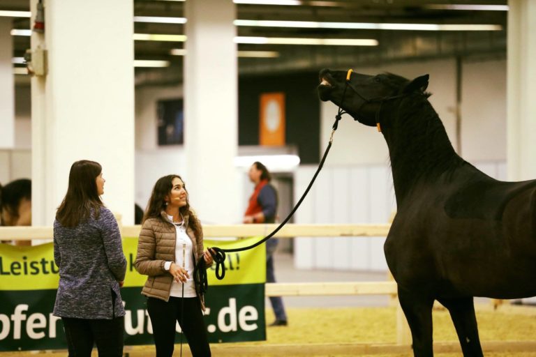 Equitana Education