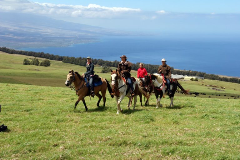 Equitrekking on Public TV across the nation promo image