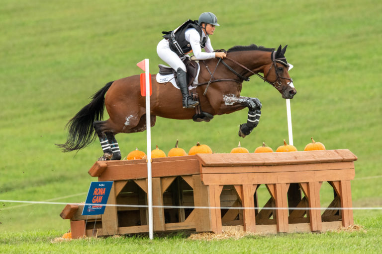 Eventer with Kissing Spines