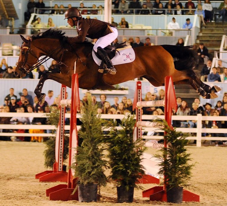 Final League Standings For The Longines FEI World Cup Show Jumping Finals promo image