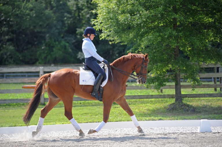 Find the Right Dressage Frame promo image