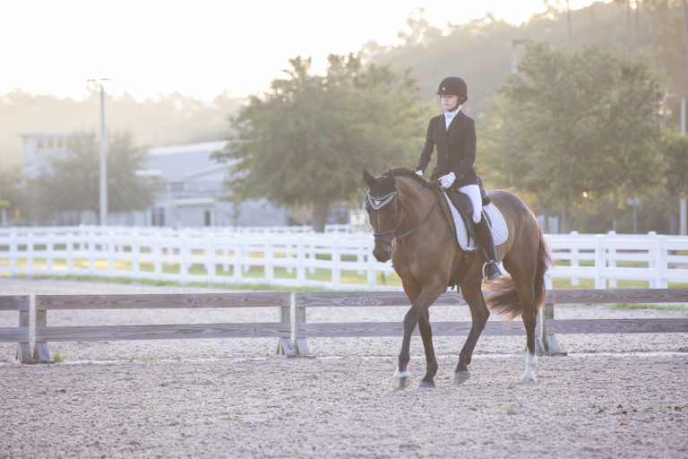 Freestyle Dressage 1