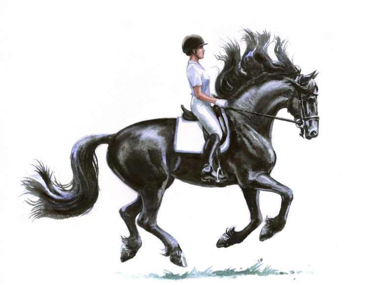 Friesan Mane Solutions