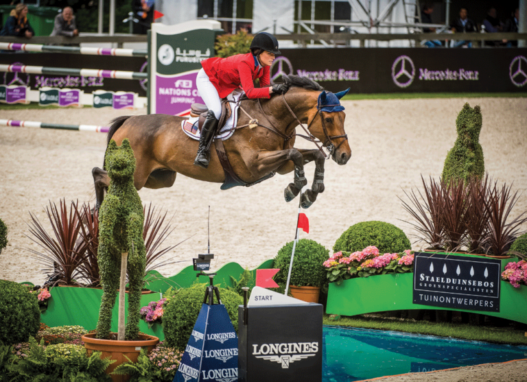 From Equitation Success to Show-Jumping Star promo image