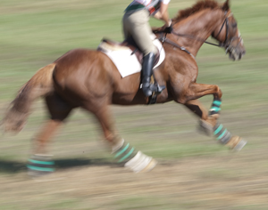 Galloping Horse