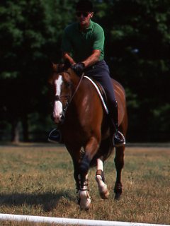 George Morris Horsemanship DVD Video Clips promo image