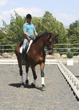 Great Riders Have Told You Something About Training Horses promo image