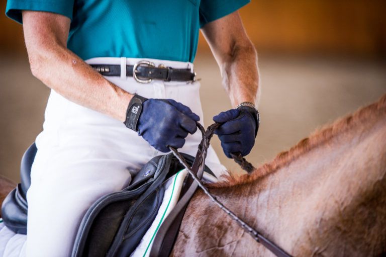 Hands Dressage