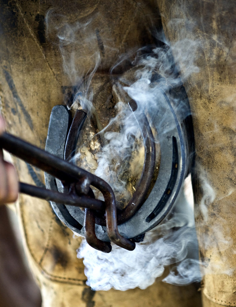 Help Your Horse Handle Hot-Shoeing promo image