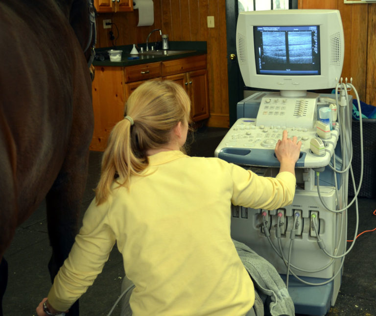 High-Tech Equine Lameness Detection promo image