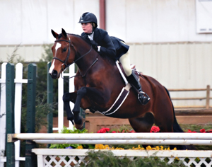 Hollins University sophomore Sarah Brown rides a borrowed horse in IHSA compeittion