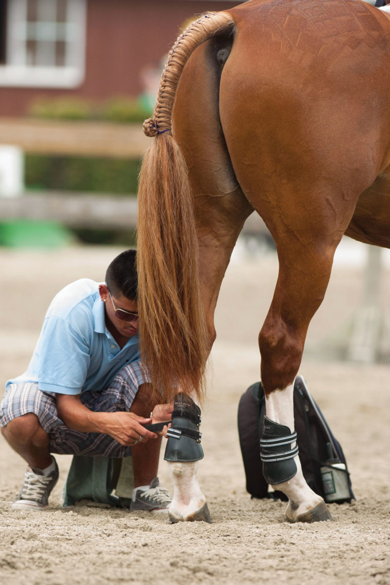 Horse Boots 101 promo image