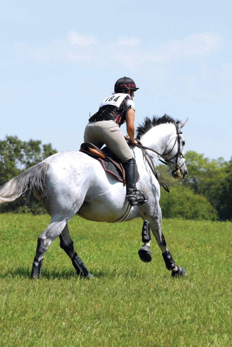 Horse Fitness and Injury promo image