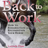 Horse Rehabilitation Tips promo image