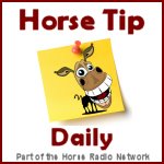 Horse Tip Daily Radio Show Packing Tips promo image