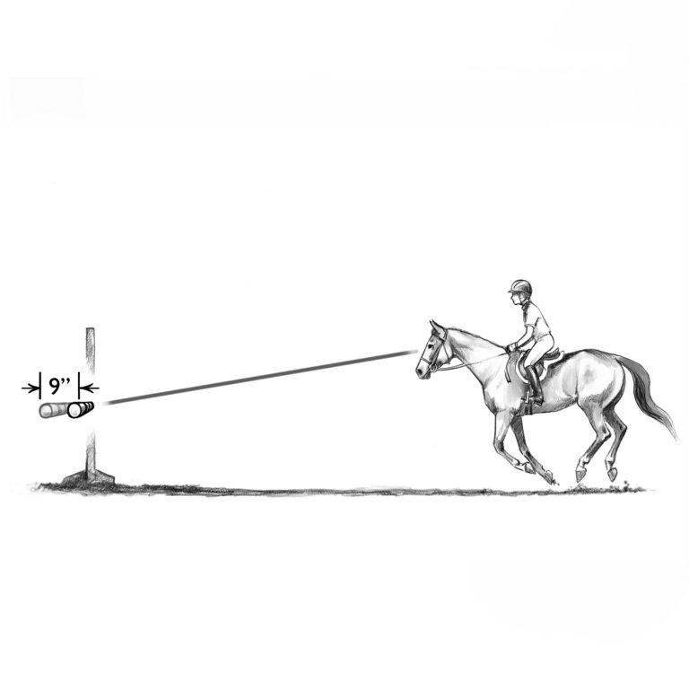Horse Vision 2