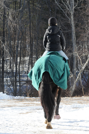 How do I ?select and use a cooler for my horse? promo image