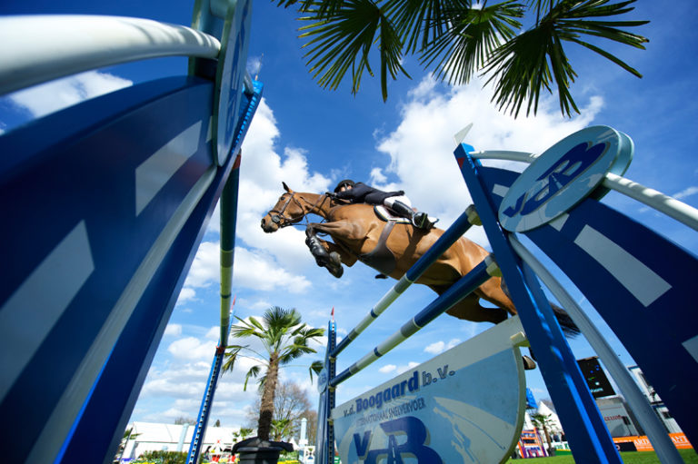 How Horses Jump promo image