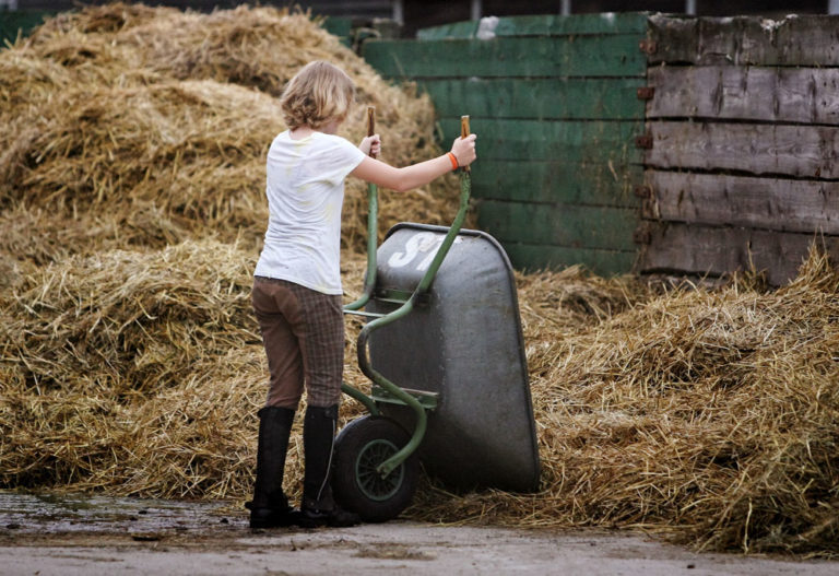 How to Help a Young Rider Succeed promo image