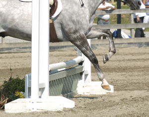 Hunter landing close to base of fence