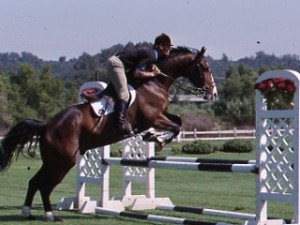 practicalhorsemanmag.com