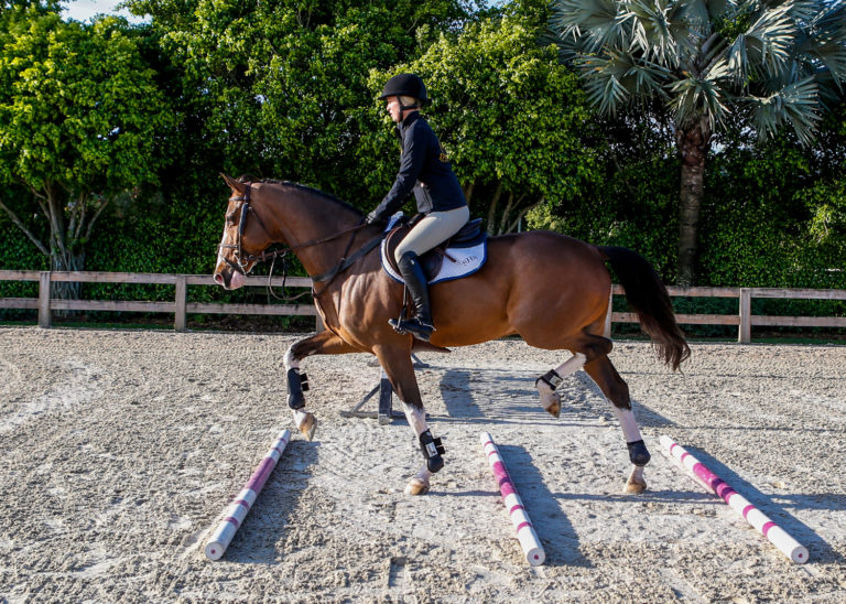 Improve Rideability for Confident Courses promo image