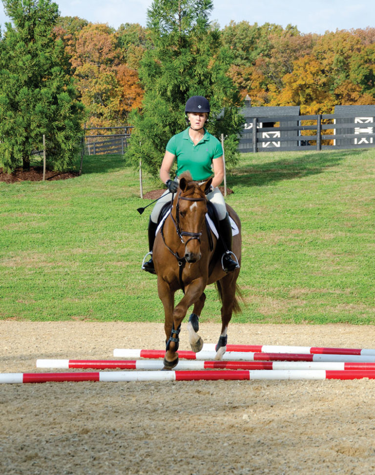 Jim Wofford: Gymnastics Can Benefit Every Horse promo image