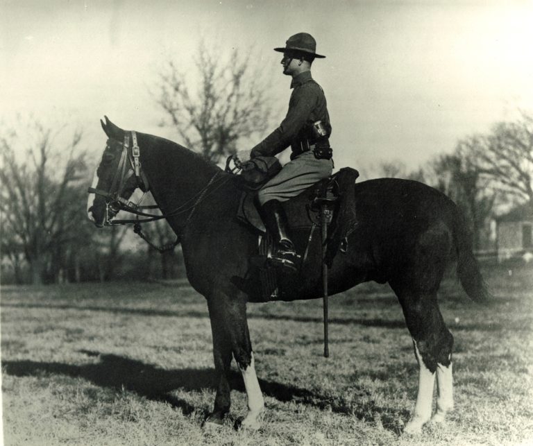 Jim Wofford: Horses and War promo image