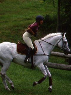 Jim Wofford: Short Format 'Dumbs Down' Eventing promo image