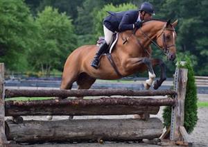 jimmy torano and lion hearted