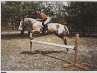 Jumping Clinic Classics: A Classic Leg Position promo image
