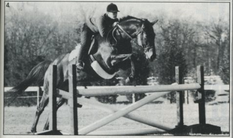 Jumping Clinic Classics: A Confident Pair promo image