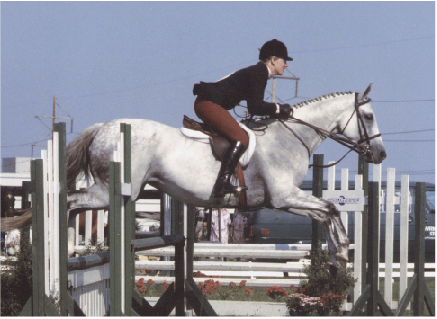 Jumping Clinic Classics: A Rising Professional promo image
